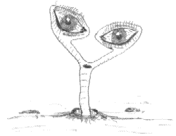 Lumbricus terrestris binocularis